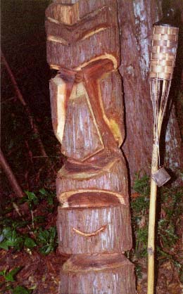 another big redwood Tiki