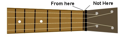 ukulele nut