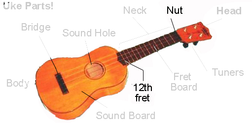 Tiki King's School. Uke