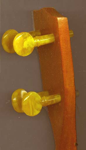 neat Ukulele pegs