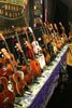 A row of Kala Ukuleles