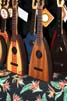 New offering from Fleamarket Music and the Magic Fluke. the Mahogany Fluke