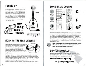 Flea booklet